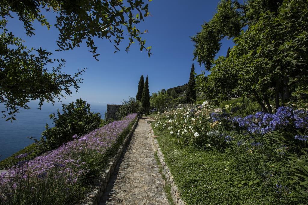 Junior Suite Garden View
